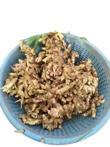 Fresh Ginger - A Grade, Fresh Chopped Vegetables | Common Cooked Style, Optimal Condition