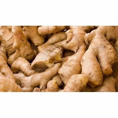 Fresh Ginger - Organic 30-50 kg B Grade in Plastic Bag | Chopped Style, Common Shape, Cold Storage, 7-Day Shelf Life