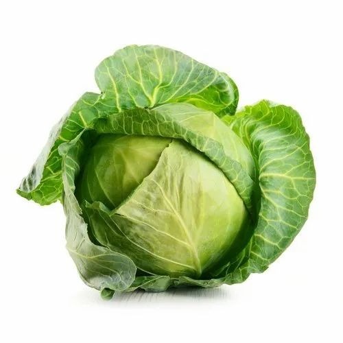 Fresh Green Cabbage - B Grade, 30-50 kg in Plastic Bag, Green Color, Common Shape, Cooked Style, Chopped Processing Form | 7 Days Shelf Life