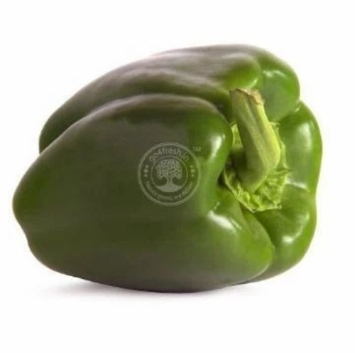 Fresh Green Capsicum - A Grade Fresh Vegetables | Chopped Common Shape Cooked Style Optimal Quality Fresh Condition