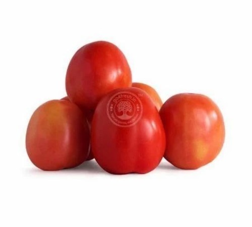 Fresh Red Tomato - A Grade, Fresh Vegetables | Chopped, Common Shape, Cooked Style, Optimum Quality
