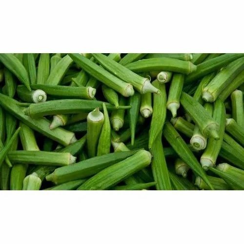 Green Lady Finger - Organic, 40-50 Kg A Grade in Plastic Bag, Chopped Style, Common Shape, Cooked Preparation