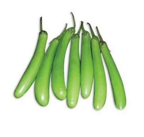 Long Brinjal - Fresh Vegetables A Grade Chopped Style for Cooking Common Shape Optimum Quality in Fresh Condition