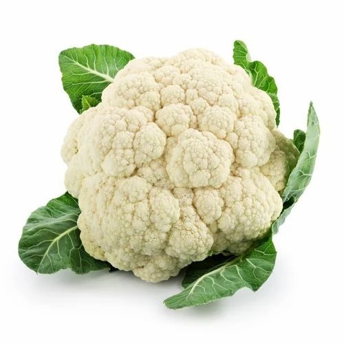 Organic Cauliflower - Fresh A Grade Cooking Vegetable | Chopped Style Common Shape Optimum Quality