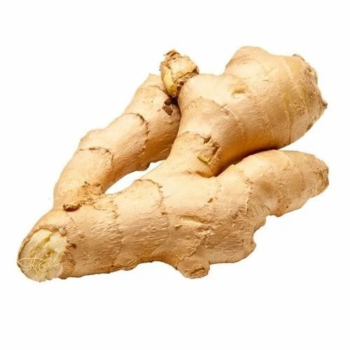Organic Ginger - A Grade Fresh Vegetables | Chopped Style, Common Shape, Optimum Quality for Cooking