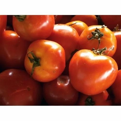 Red Fresh Tomato - 30-50 kg A Grade Crate | Chopped, Common Shape, Cooked Style, Cold Storage, 7 Days Shelf Life