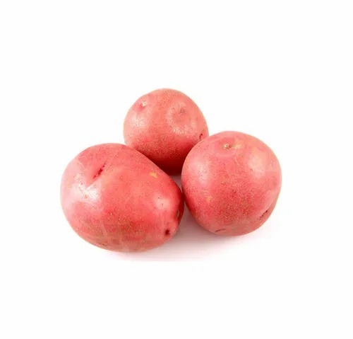 Rosetta Potato - Early Maturity (70-90 Days), Red Color, Medium Dormancy (6-8 Weeks), Medium Dry Matter | Chopped, Common Shape, Cooked Style