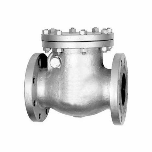 Check Valve  - Application: Indsutrial