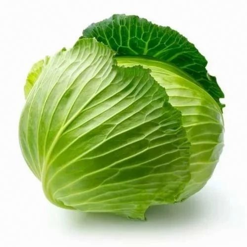 Green Cabbage - Organic A Grade, Chopped Processing Form | Cooked Style, Pesticide Free, Common Shape, Vibrant Green Color