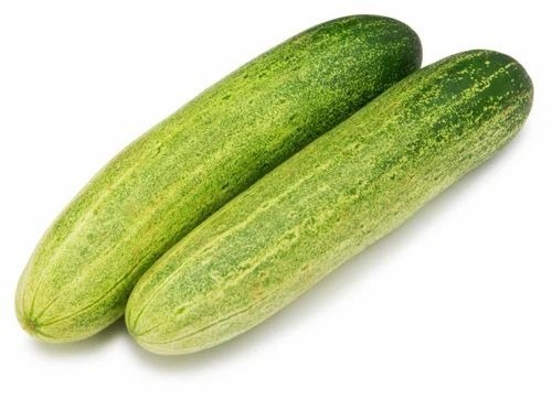 Green Cucumber - Organic A Grade Green Color Loose Packaging 24 Hours Shelf Life | Chopped Common Shape Cooked Style