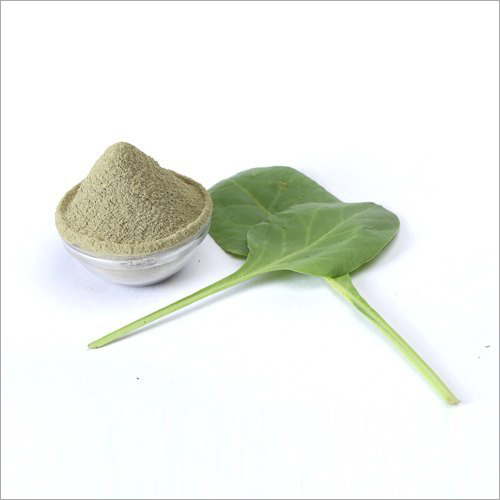 palak powder