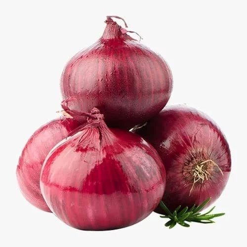 A Grade Organic Red Onions - Medium Size Loose Packaging Chopped Style Common Shape Cooked Processing