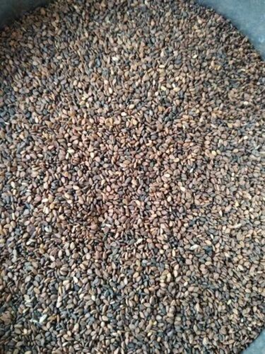 Black Sesame Seeds - 100% Purity, 5% Moisture | Fresh PP Bag Packaging, Shelf Life 6 Months