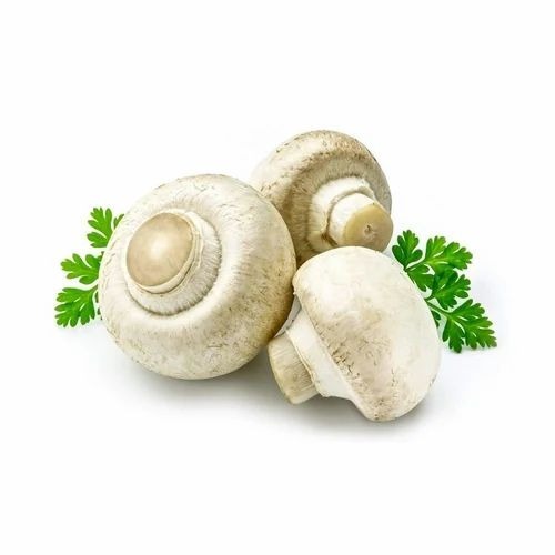 Button Mushroom - A Grade Fresh Organic Variety, 3.1g Protein, White Color, Common Cultivation Style