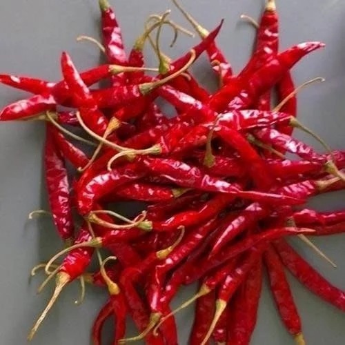 Dry Red Chilli - Moisture: 3%, Purity: 98%, Color: Red | Usage: Ideal For Cooking, Grade A, Spicy Flavor, Store In A Cool & Dry Place