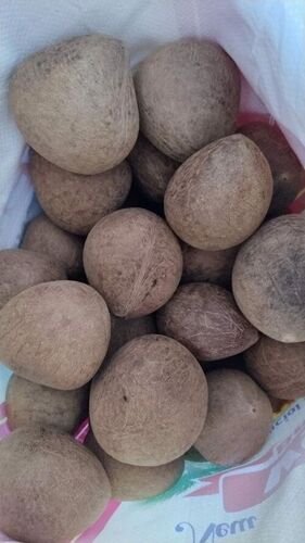 Edible Coconut Copra - Dried Round Organic Coconut, Brown Color | Fresh Packaging, 6 Months Shelf Life, Good Quality