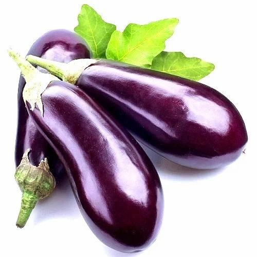 Fresh Brinjal - Fresh A Grade Vegetables | Chopped, Common Shape, Cooked Style