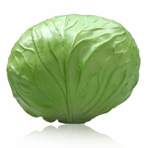 Fresh Cabbage