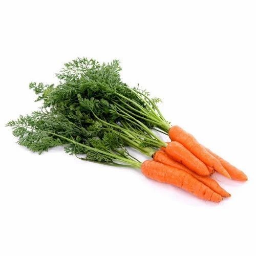 Fresh Carrot - A Grade, Fresh Condition, Cool And Dry Storage | Chopped Style, Common Shape, Cooking Application