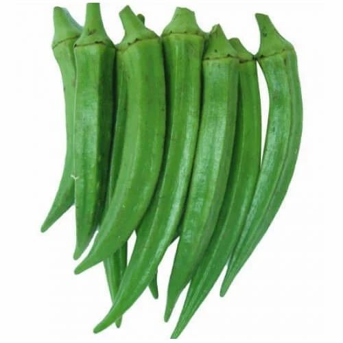Fresh Lady Finger - A Grade, Fresh Chopped Vegetables | Common Shape, Cooked Style, Ideal for All Cooking Applications