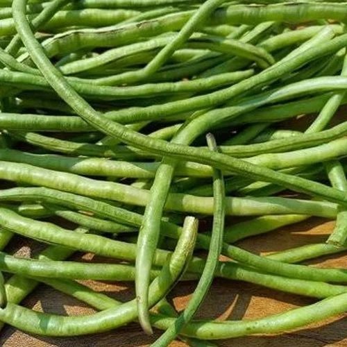 Fresh Organic French Beans - A Grade Green Loose | Chopped, Common Shape, Cooked Style