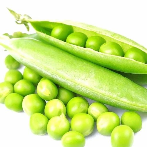 Fresh Peas - A Grade, Pesticide Free, Chopped Processing Form, Common Shape, Cooked Style | Fresh Vegetables for Cooking