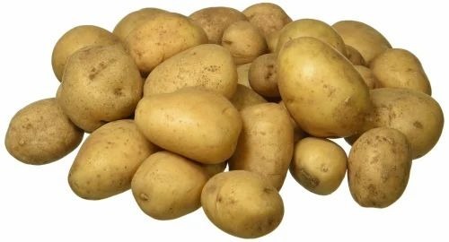 Fresh Potato - Organic A Grade Loose, Chopped Cooked Common Style for Food Processing
