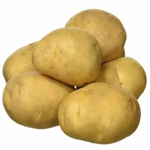 Fresh Potato - Organic Vegetable, 100% Natural Nutrition | Chopped, Common Shape, Cooked Style, Ideal for Cold & Dry Storage