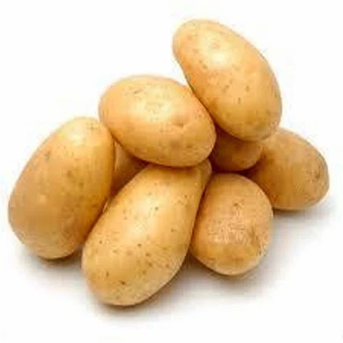 Fresh Potato - A Grade, Fresh Vegetables in Gunny Bag | Optimum Quality, Common Shape, Chopped Processing Form, For Cooking
