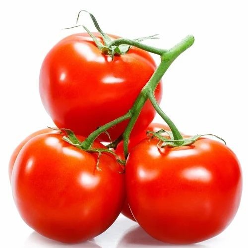 Fresh Red Tomato - A Grade Loose Red Color 100% Maturity for Salad Preparation | Chopped Common Shape Cooked Style Usage