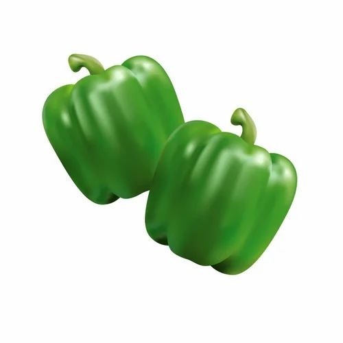 Green Capsicum - A Grade Quality, 4 Inch Length, Chopped Style | Common Shape, Ideal for Cooking