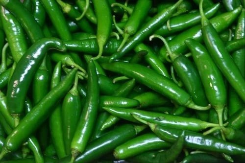 Green Chilli - Organic A Grade Hybrid Chilli, No Artificial Flavour | Cooked, Common Shape, Chopped Processing Form