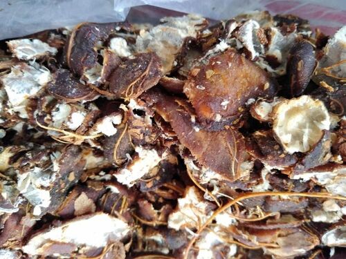 Organic Seedless Tamarind - Dried Style, 2 Years Shelf Life | Fresh PP Bag Packaging, Good Condition from Shreya Enterprises