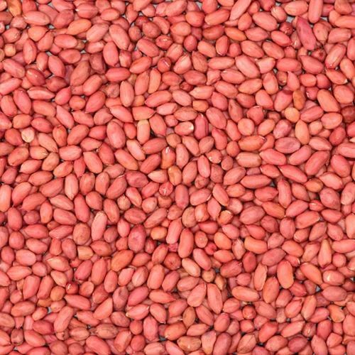 Premium Red Peanut Kernel