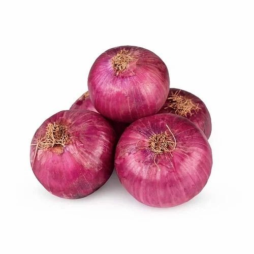 Red Onion - 10 Kg Large A Grade Organic | Dry Chopped Common Shape Cooked Style 6 Months Shelf Life