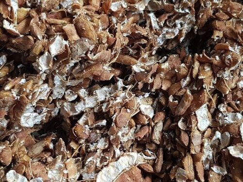 Tamarind Imli - Seedless, Dried Style | Fresh Quality in PP Bag, Shelf Life of 1 Year, Perfect for Culinary Uses