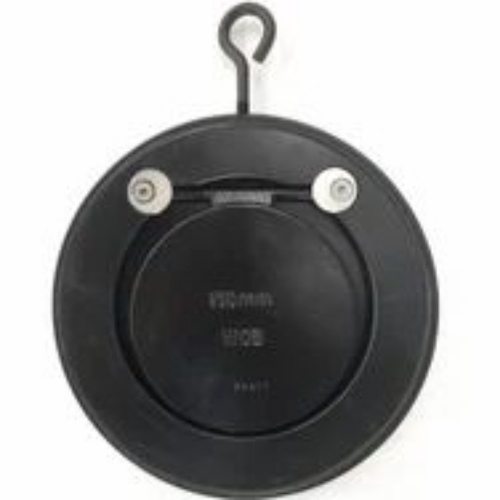 Stainless Steel Check Valve