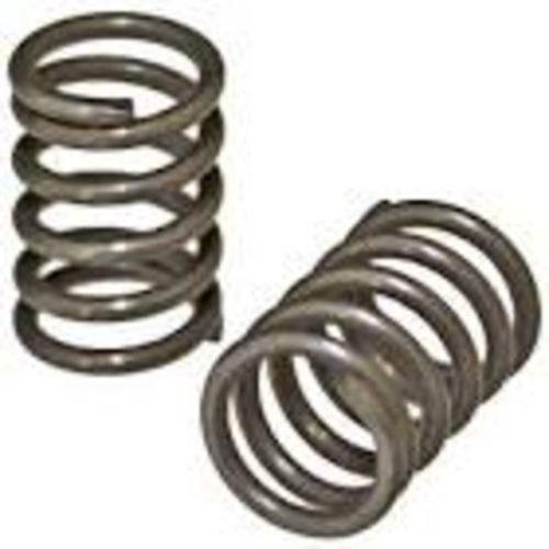 Valve Spring - Color: -