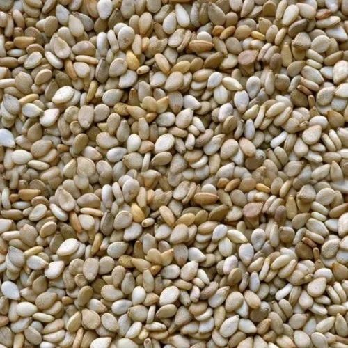 White Sesame Seeds - Organic, Fresh Quality, 100% Purity | White Color, Edible Oil Seeds with 1 Year Shelf Life
