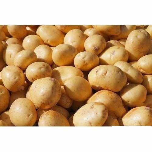 A Grade Potato - Organic Quality, Brown Color, 50 kg Packed in Gunny Bag | Chopped Form, Common Shape, Cooked Style