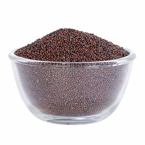 Black Mustard Seed - Organic, Fresh Quality In Pp Bag | 100% Purity, Black Color, 1 Year Shelf Life