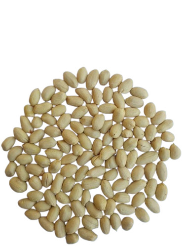 Dry Blanched Roasted Peanuts - Organic Quality, Salted and Spicy Flavor | Freshia Brand, Good Packaging in Bag, 3 Months Shelf Life