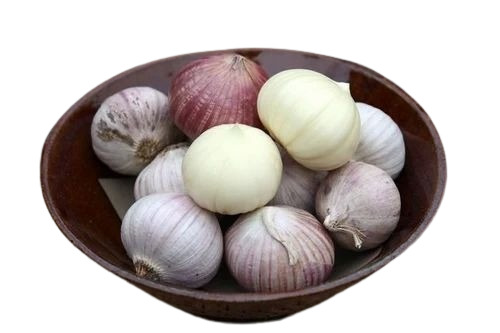 Ek Kali Garlic - A Grade Fresh Vegetables | Chopped, Common Shape, Cooked Style, Optimum Quality, Ideal for Cooking