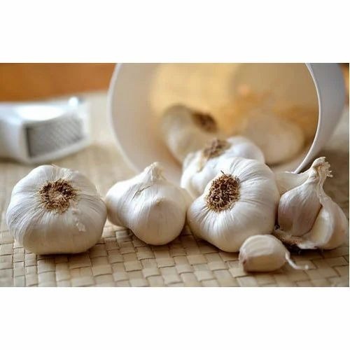 Fresh Garlic