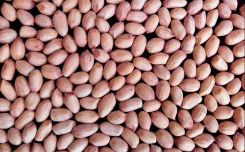 Fresh Raw Dry Peanuts/Groundnuts - Organic, Dried, Brown Color | Good Quality, Packaged in a Packet, No Added Preservatives, 12 Months Shelf Life