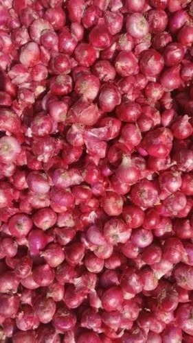 Fresh Red Shallots - A Grade Large Size, 50 kg Gunny Bag | Chopped, Common Shape, Cooked Style