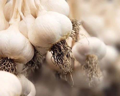 Garlic Lasun - A Grade, B Grade, C Grade | Packaged in Plastic Bag, Carton, Net Bag, or Crate, Available Sizes: 10 Kg, 20 Kg, 50 Kg, Chopped Style