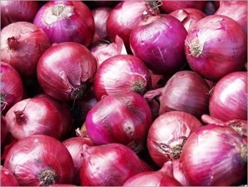 Onion - B Grade, C Grade, A Grade | Small, Medium, Large Sizes in Gunny Bag & Net Bag Packaging, Chopped Processing Form, Common Shape, Cooked Style