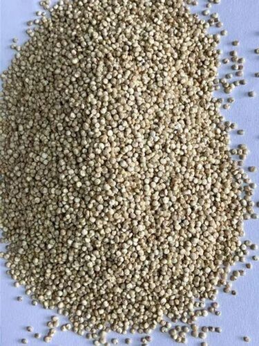 Organic Quinoa Seed - Fresh Quality, 99% Purity, Brown Color, Dried Style | Organic Cultivation, 12 Months Shelf Life, PP Bag Packaging