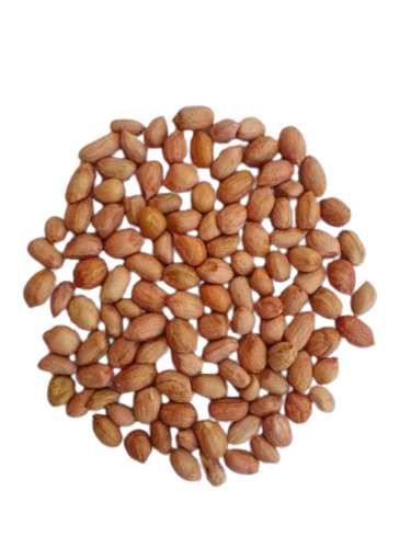 Peanut Raw Groundnut